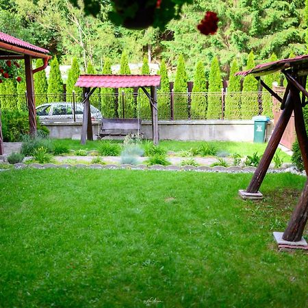 Willa Casa Alina Arieşeni Zewnętrze zdjęcie