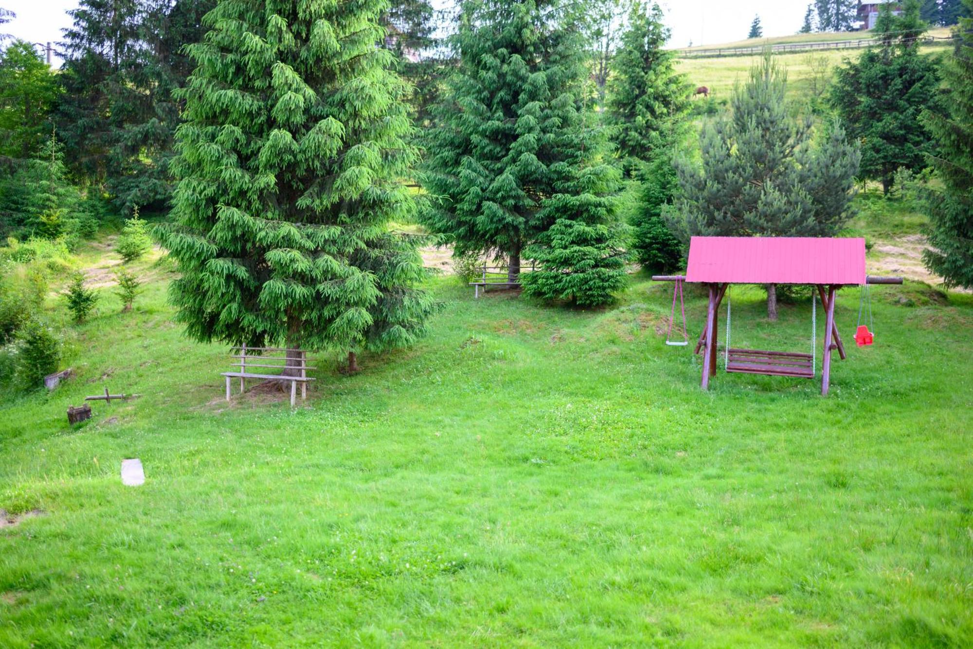 Willa Casa Alina Arieşeni Zewnętrze zdjęcie